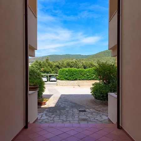 Mandarino Procchio (Isola d'Elba)